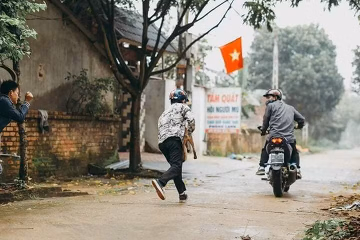 Bộ ảnh chân thực đến từng cảm xúc, 2 thanh niên tái hiện cảnh trộm chó và cái kết nhãn tiền