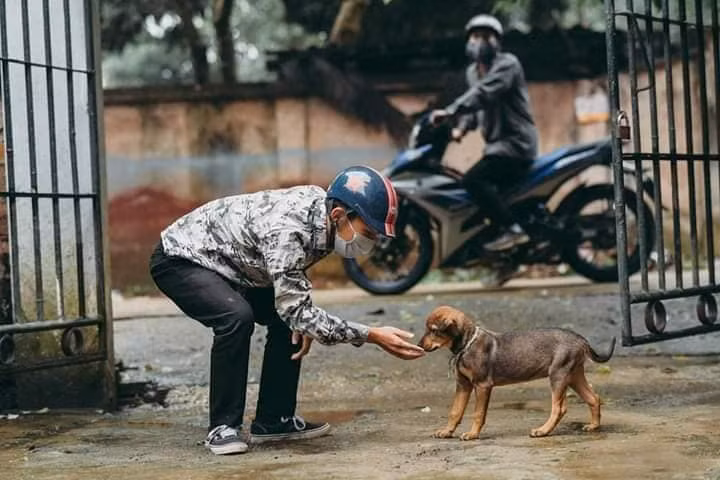 Bộ ảnh chân thực đến từng cảm xúc, 2 thanh niên tái hiện cảnh trộm chó và cái kết nhãn tiền