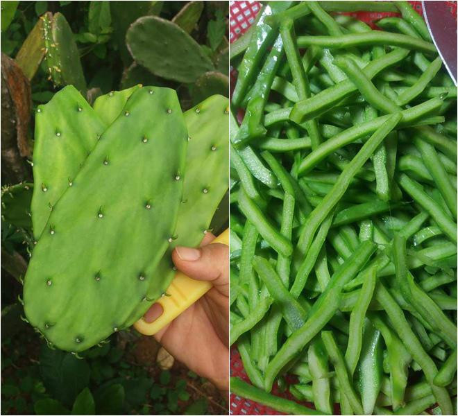 le thuy ve que khoe dac san que nha, lan khue tro mat vi &#34;canh la qua&#34; - 5