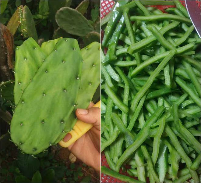 le thuy ve que khoe dac san que nha, lan khue tro mat vi "canh la qua" - 5