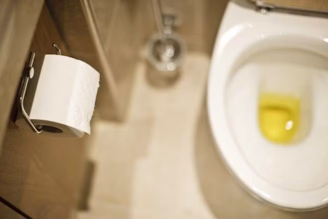 Có những dấu hiệu này chứng tỏ thận của bạn đang gặp vấn đề ảnh 1