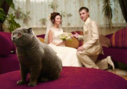 Ở bên người ấy, anh có hạnh phúc không?