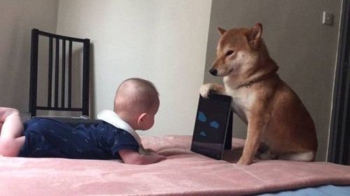 "Cậu cứ việc xem, cầm máy cứ để tôi lo!". Cậu cứ việc xem, cầm máy cứ để tôi lo!.