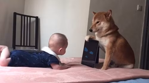 Cậu cứ việc xem, cầm máy cứ để tôi lo!.