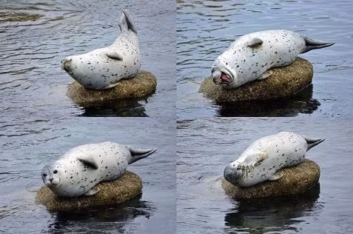 Là con gái phải biết cười duyên.