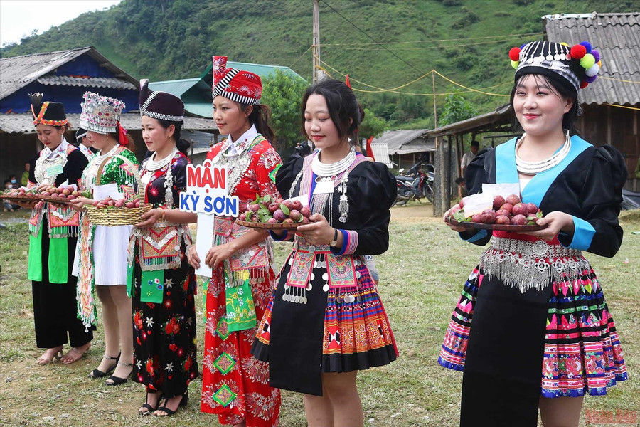 Hội thi mận đẹp, mận ngon tại Ngày hội hái mận xã Mường Lống.