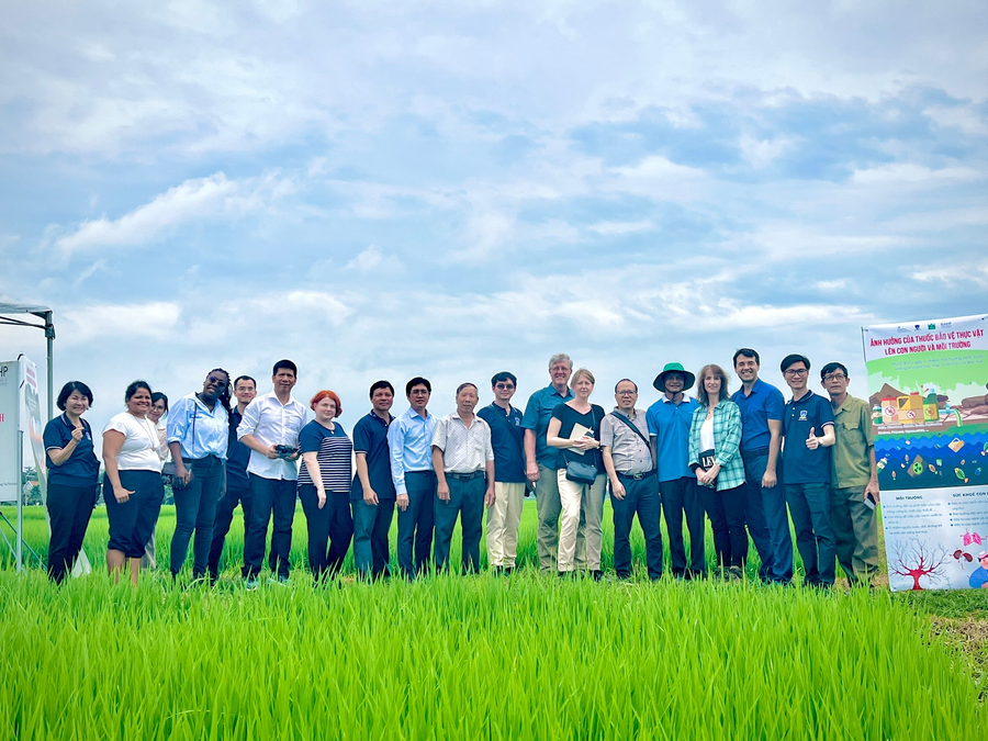 Đoàn chuyên gia quốc tế tại buổi thực địa mô hình xử lý rơm rạ sau thu hoạch bằng chế phẩm vi sinh trên đồng ruộng. 