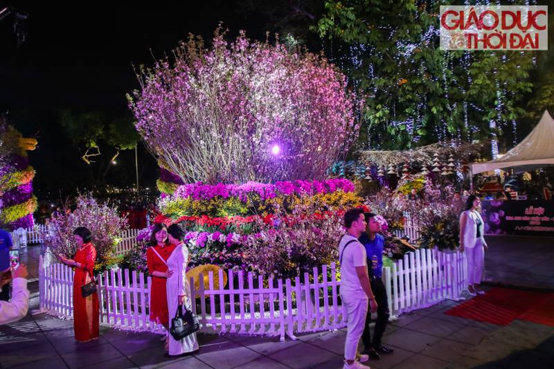 Lễ hội trưng bày 100 cây và 30.000 cành hoa anh đào Nhật Bản cùng nhiều loài hoa của Việt Nam.