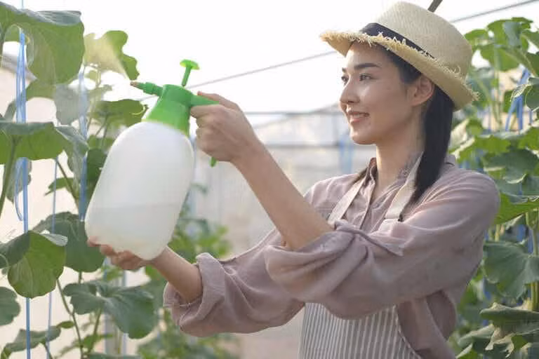 Cách làm thuốc trừ sâu tự nhiên tại nhà đơn giản