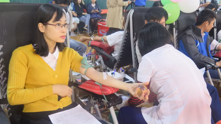 Đông đảo sinh viên các trường chuyên nghiệp trên địa bàn tỉnh Điện Biên tham gia