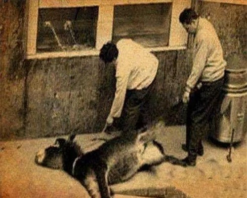 3 món ăn đáng sợ nhất trong lịch sử của vua chúa Trung Quốc - Ảnh 2 3 món ăn đáng sợ nhất trong lịch sử của vua chúa Trung Quốc - Ảnh 2