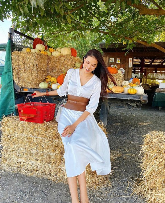 hoa hậu Phạm Hương, sao Việt