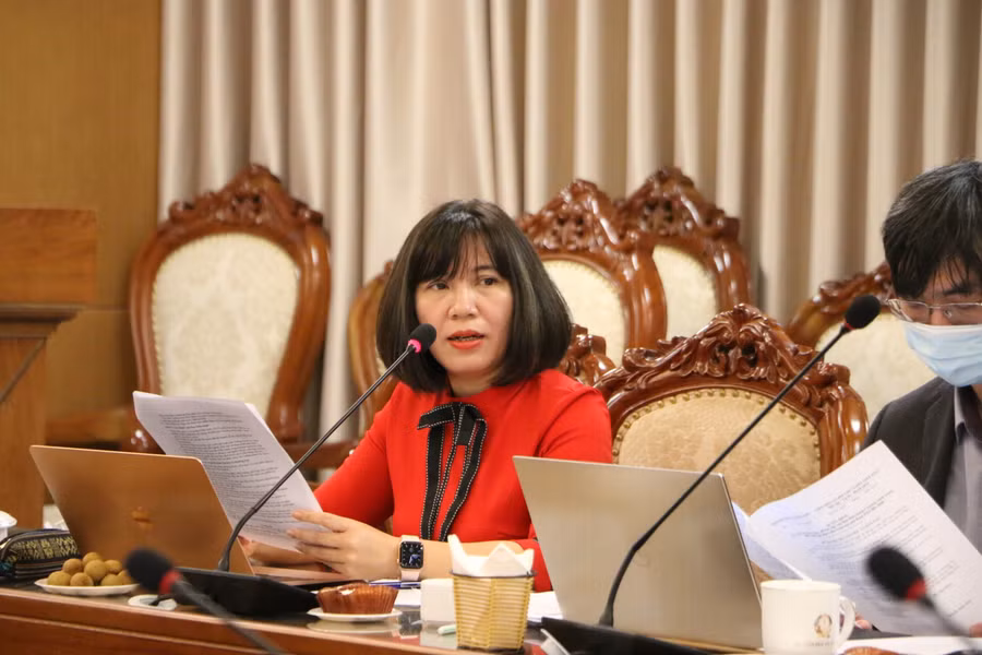 TS Trịnh Thị Thúy Giang - Phó Giám đốc Viện Nghiên cứu cao cấp về Toán nêu các nhiệm vụ cần thực hiện của chương trình.