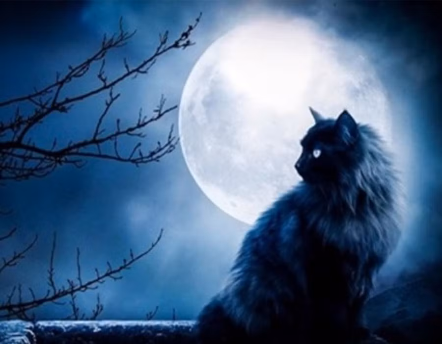 4 điều nên tránh trong ngày rằm tháng 6 ảnh 1