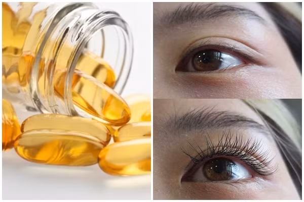 cach-nuoi-long-mi-dai-bang-dau-dua-1