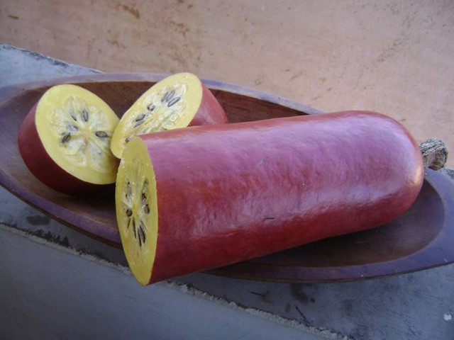 Đến cả chanh, bưởi, dưa chuột, ổi.... giờ cũng có màu đỏ rực ảnh 5