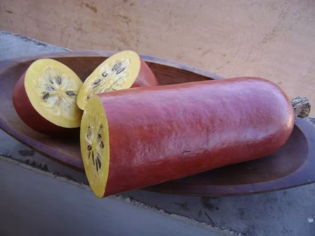 Đến cả chanh, bưởi, dưa chuột, ổi.... giờ cũng có màu đỏ rực ảnh 5