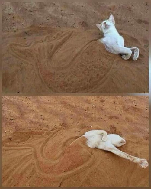 ‘Thánh’ diễn sâu. Thánh diễn sâu.