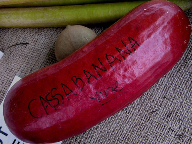 Đến cả chanh, bưởi, dưa chuột, ổi.... giờ cũng có màu đỏ rực ảnh 6