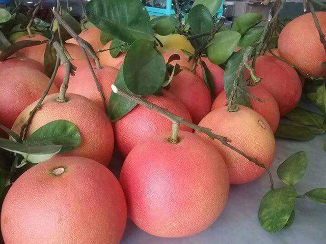 Đến cả chanh, bưởi, dưa chuột, ổi.... giờ cũng có màu đỏ rực ảnh 2