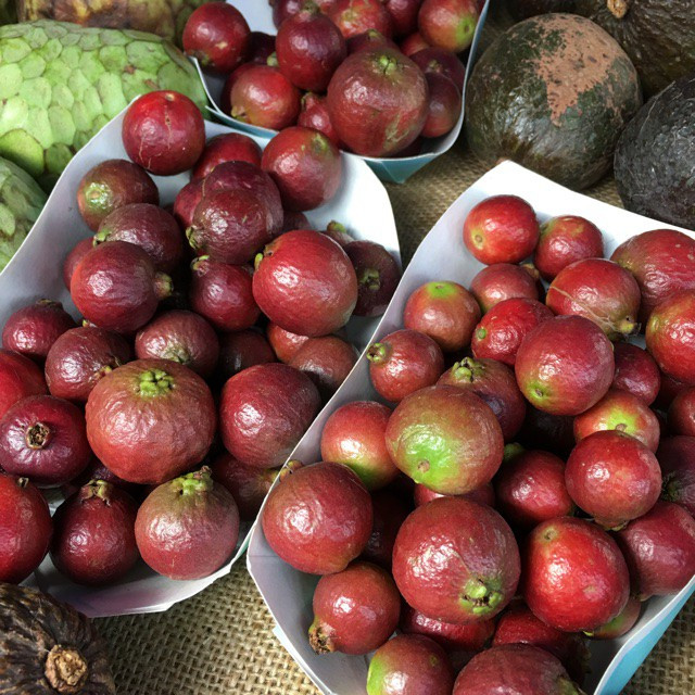 Đến cả chanh, bưởi, dưa chuột, ổi.... giờ cũng có màu đỏ rực ảnh 12