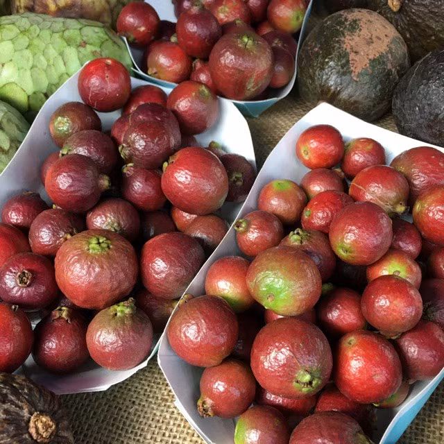 Đến cả chanh, bưởi, dưa chuột, ổi.... giờ cũng có màu đỏ rực ảnh 12