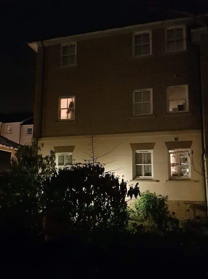 Những khoảnh khắc tình cờ trong cuộc sống khiến bạn “hết hồn“ ảnh 17