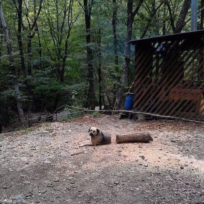 Những khoảnh khắc tình cờ trong cuộc sống khiến bạn “hết hồn“ ảnh 1