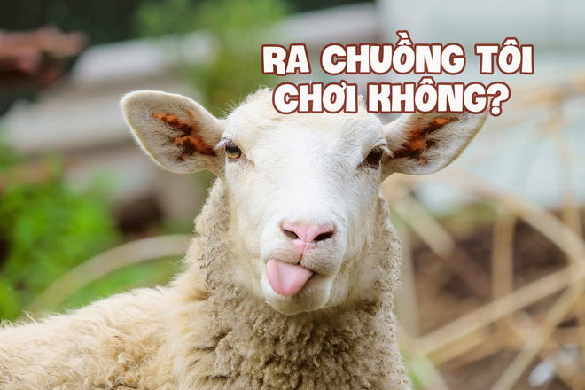 Chuỗi khách sạn hàng đầu thế giới công bố danh sách những yêu cầu quái gở nhất của khách thuê phòng, xem mà giận tím người! - Ảnh 3. Chuỗi khách sạn hàng đầu thế giới công bố danh sách những yêu cầu quái gở nhất của khách thuê phòng, xem mà giận tím người! - Ảnh 3.