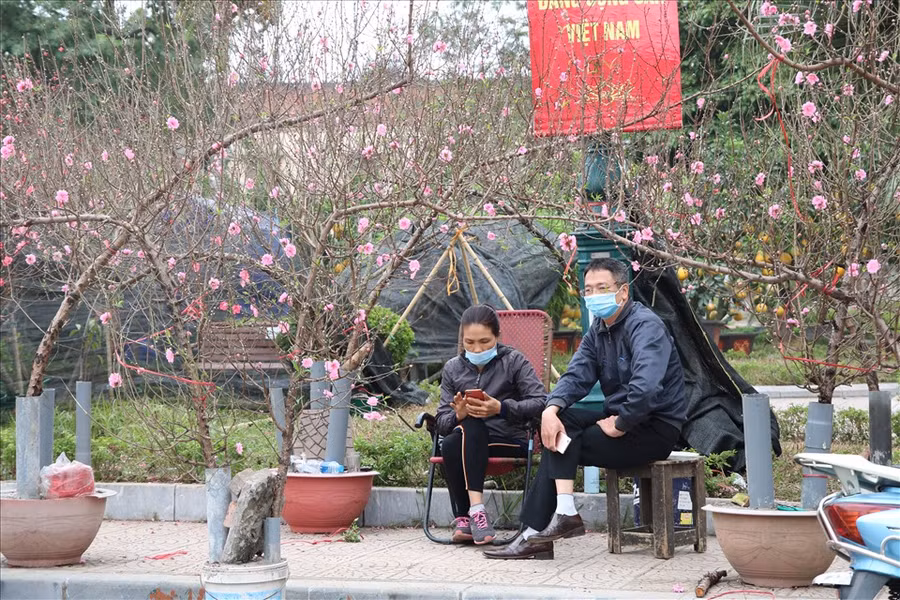 Chợ hoa Tết của Hà Nội lại vắng vẻ, thưa thớt khách.
