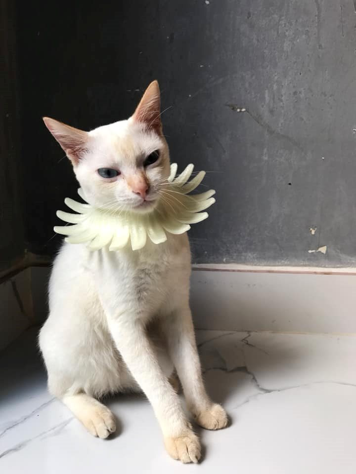 Đúng style kiểu nam tước không nào! Đúng style kiểu nam tước không nào!