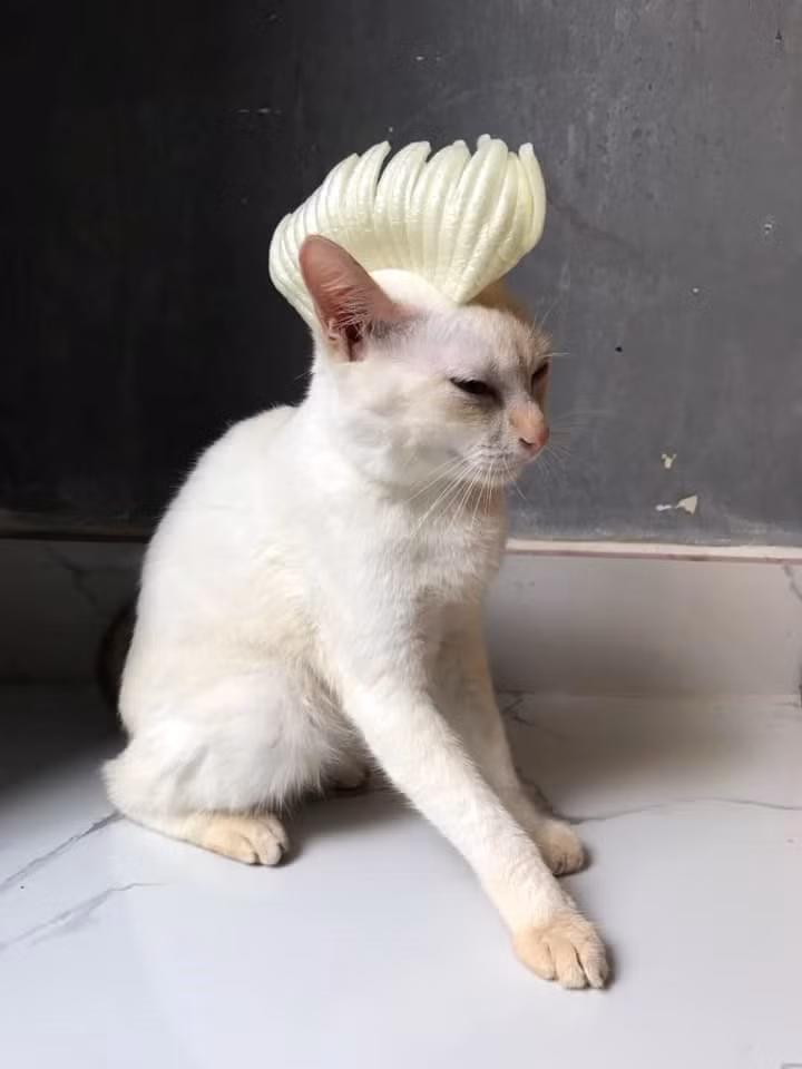 Kiểu tóc "bờm ngựa”.