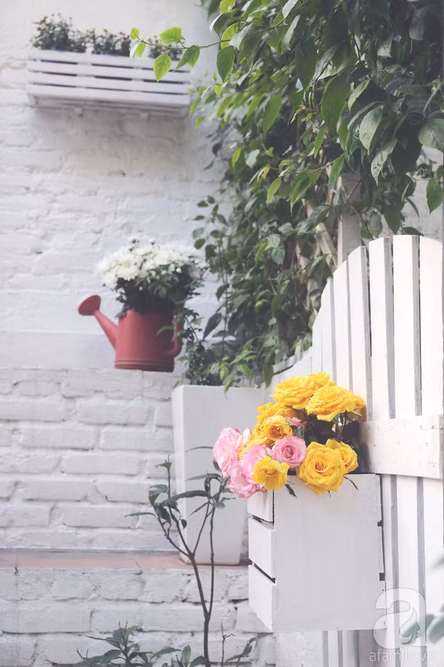  Khu vườn nhỏ xinh được anh Minh Tú tự tay decor. 