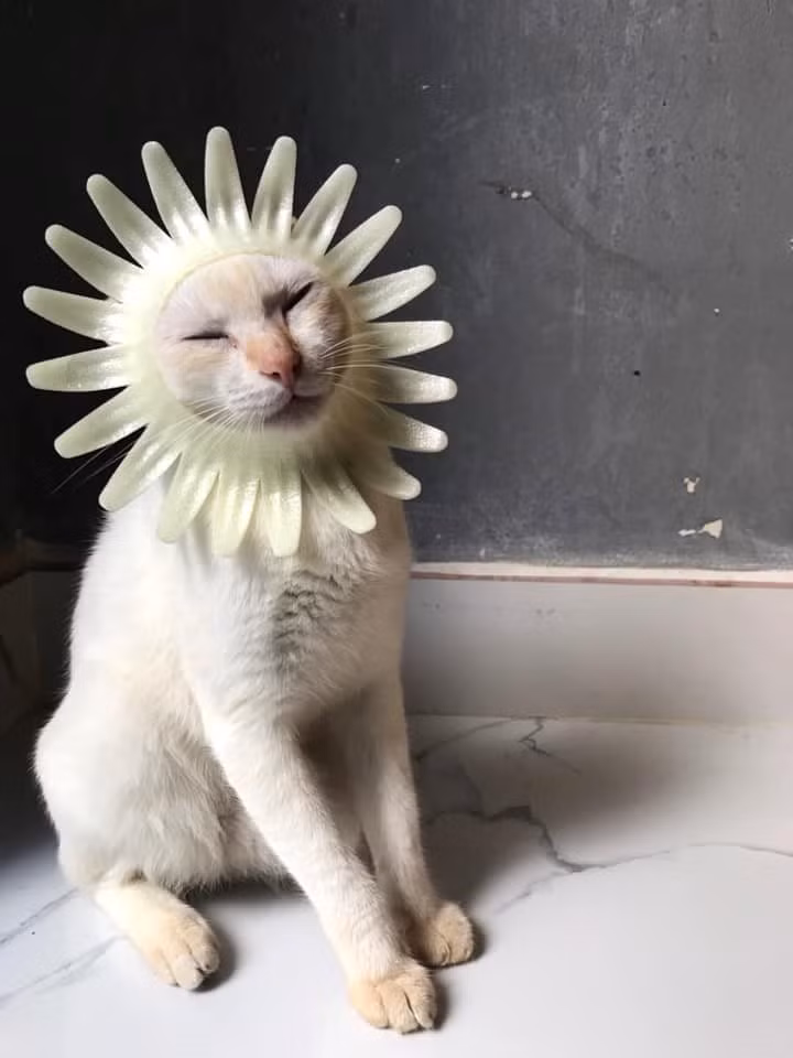 Mình là ông mặt trời chói lóa.