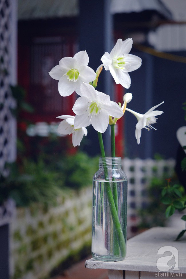 Quá đáng yêu cách người đàn ông Hà Thành trút bỏ những muộn phiền trong cuộc sống ảnh 14 Bất kỳ loài hoa nào cũng đẹp duyên dáng nhờ bàn tay khéo léo của anh.