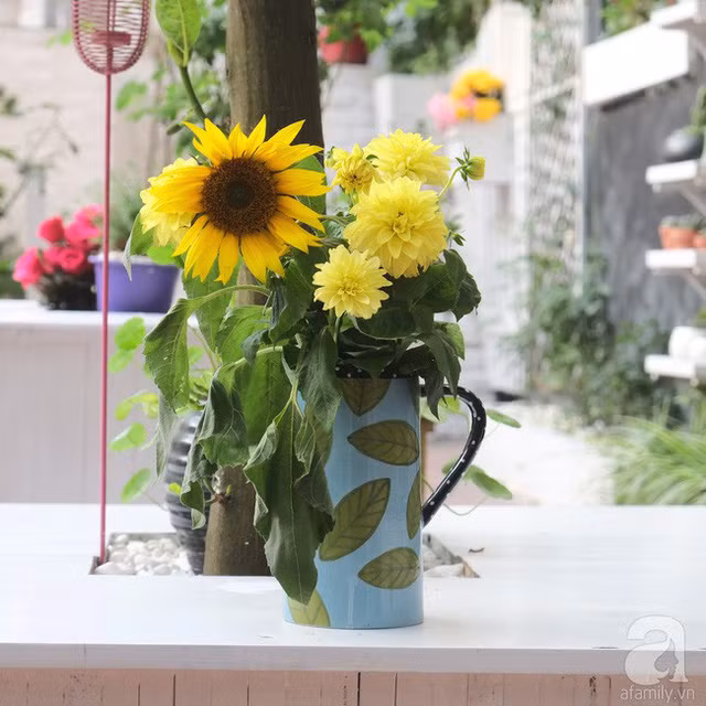  Sự kết hợp hài hòa giữa hai sắc vàng. 