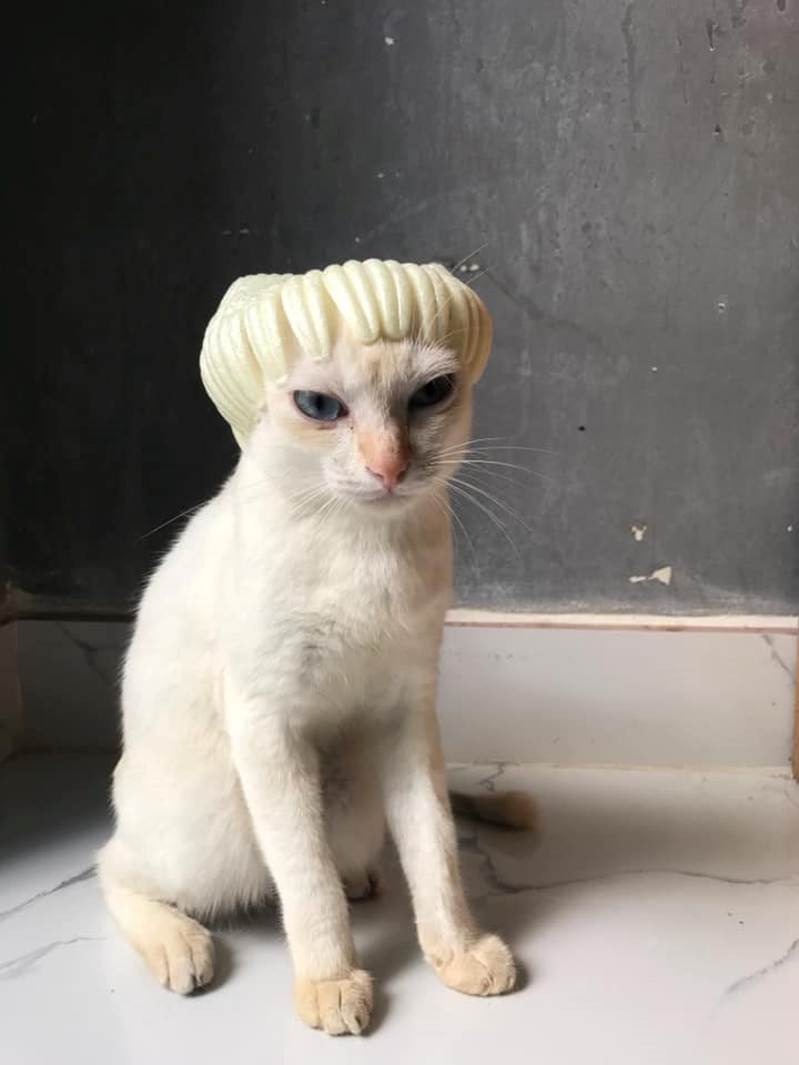 "Style đầu nấm" đáng yêu chưa?. "Style đầu nấm" đáng yêu chưa?.