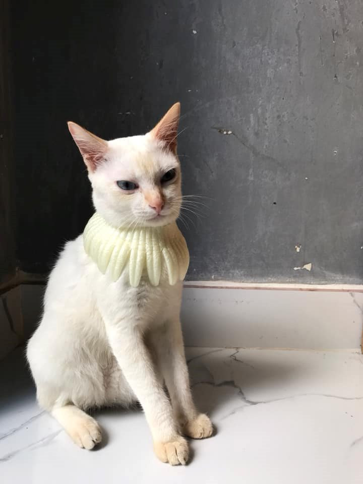 Kiểu "Quý tộc style” hay “Nữ hoàng kiêu sa” đây! Kiểu "Quý tộc style” hay “Nữ hoàng kiêu sa” đây!