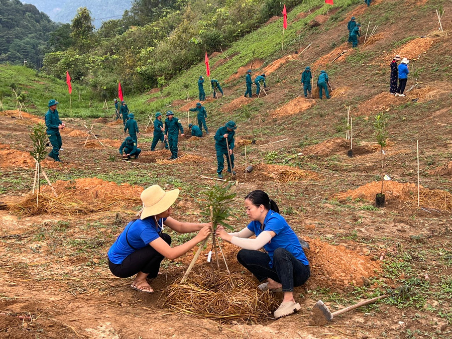 Hình ảnh tại Ngày hội trồng Mắc ca được huyện Tuần Giáo tổ chức hôm 23/5. Hình ảnh tại Ngày hội trồng Mắc ca được huyện Tuần Giáo tổ chức hôm 23/5.