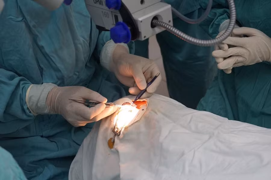 Đội ngũ y bác sĩ Trung tâm Mắt – Bệnh viện Trung ương Huế thực hiện khẩn trương ca phẫu thuật ghép giác mạc.