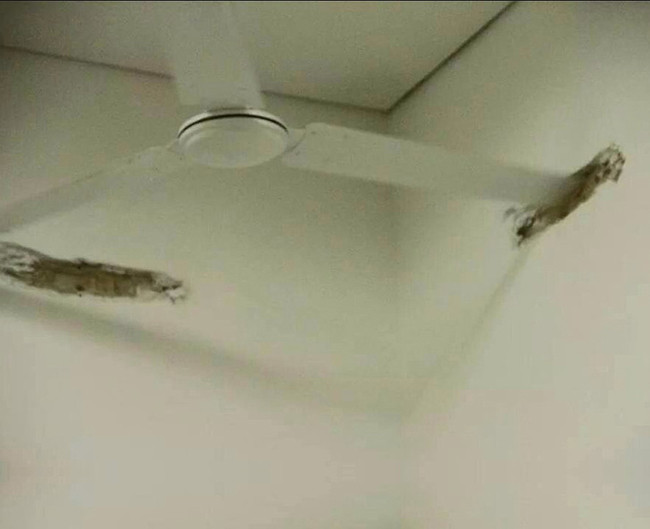 Những công trình thế kỷ khiến kỹ sư bậc thầy cũng thấy "sợ hãi" hình ảnh 13 nhung cong trinh the ky khien ky su bac thay cung thay "so hai" hinh anh 13