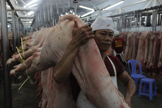 Tăng cường giám sát các điểm thu gom lợn sống