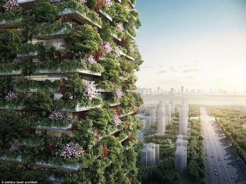 TheoSCMP, nơi đây sẽ chứa hơn 600 cây lớn, 500 cây vừa và khoảng 2.500 cây bụi từ 23 loài cây bản địa khác nhau, phủ kín 65.000 m2 diện tích bề mặt hai tòa tháp Nam Kinh. Rừng cây xanh giữa đô thị này sẽcung cấp 60 kg khí oxy mỗi ngày và hấp thụ 25 tấn khí carbonic mỗi năm. Nơi đây sẽ chứa hơn 1.000 cây và khoảng 2.500 cây bụi từ 23 loài cây bản địa khác nhau, mỗi ngày sẽ tạo ra khoảng 60kg oxy.