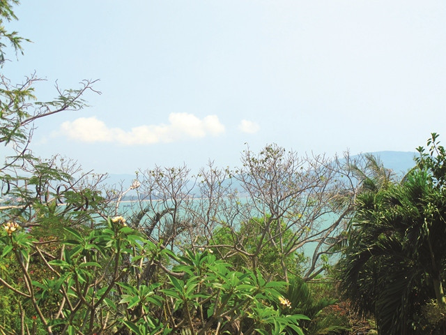 Quanh năm nghe biển ru bờ cát