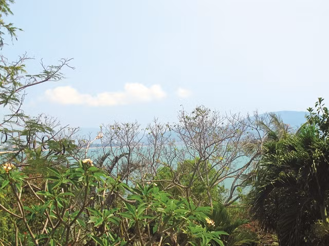 Quanh năm nghe biển ru bờ cát