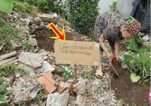 10-anh-hai-hot-nhat-facebook-trong-ngay-8