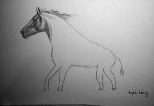 10-anh-hai-hot-nhat-facebook-trong-ngay-5