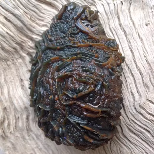 Loại đá kì dị này có tên&nbsp;Gobi Montenegro, là&nbsp;một trong những loại đá quý được nhiều người săn lùng.