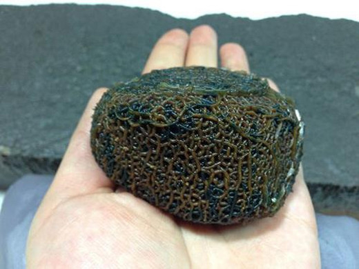 Hình dạng độc đáo, lạ lùng này hoàn toàn do mẹ thiên nhiên nhào nặn, tạo tác.