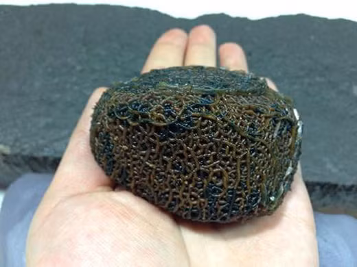 Hình dạng độc đáo, lạ lùng này hoàn toàn do mẹ thiên nhiên nhào nặn, tạo tác.